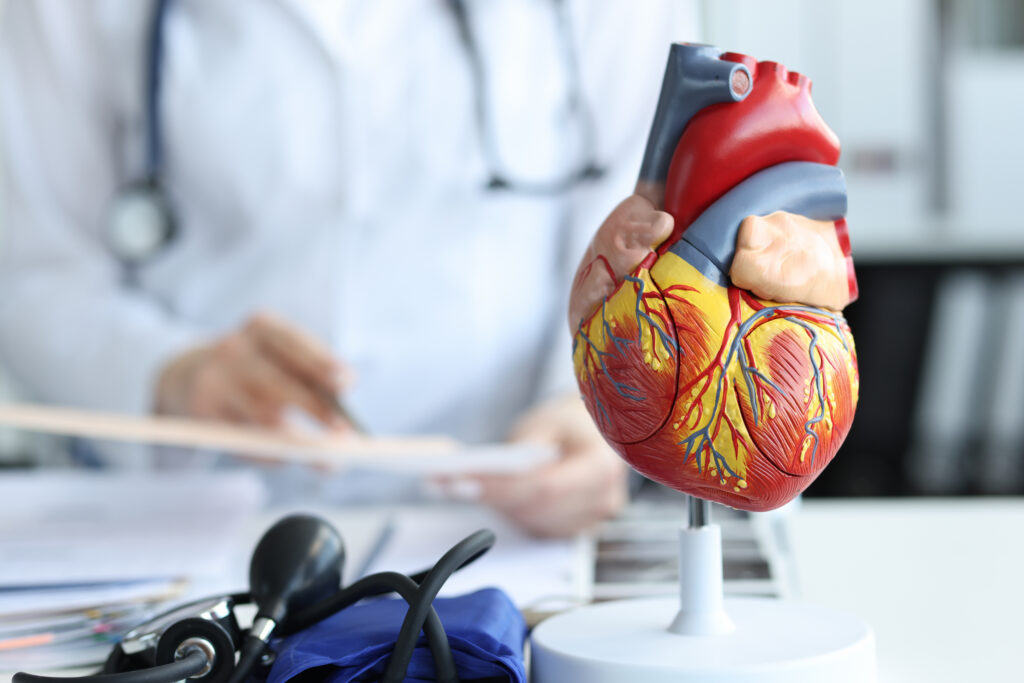 Ablation för förmaksflimmer Ablation för förmaksflimmer<br />