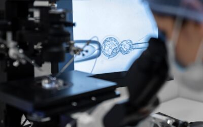 Hur går en IVF-behandling till – steg för steg?